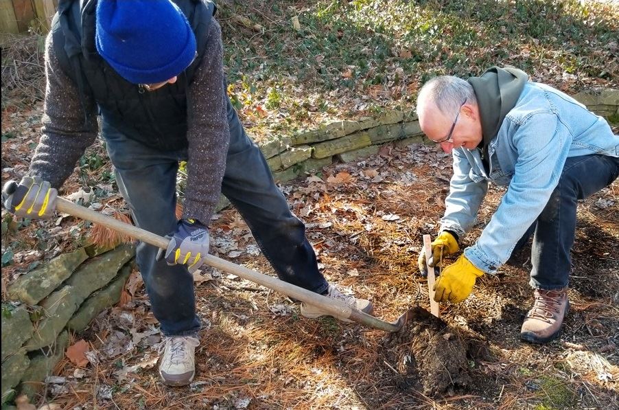 Volunteers planting seedlings