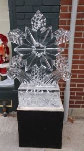 Ice Sculpture 2