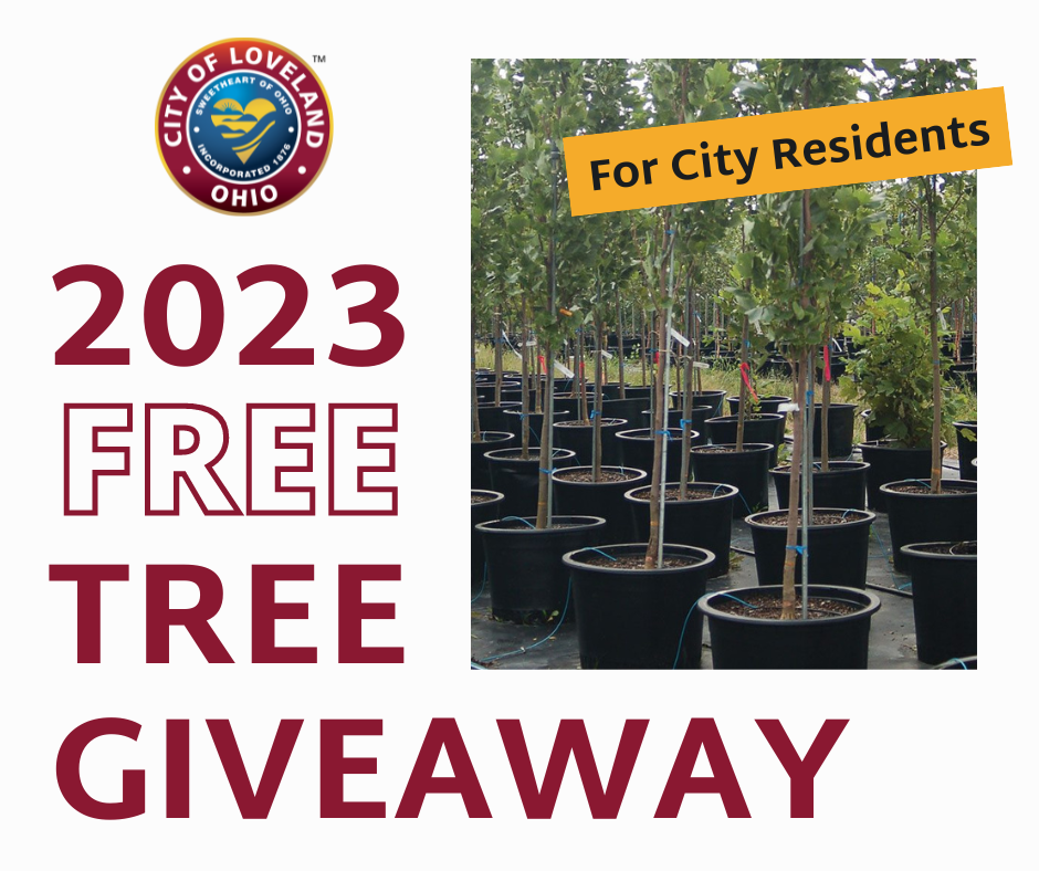 Free Tree Giveaway