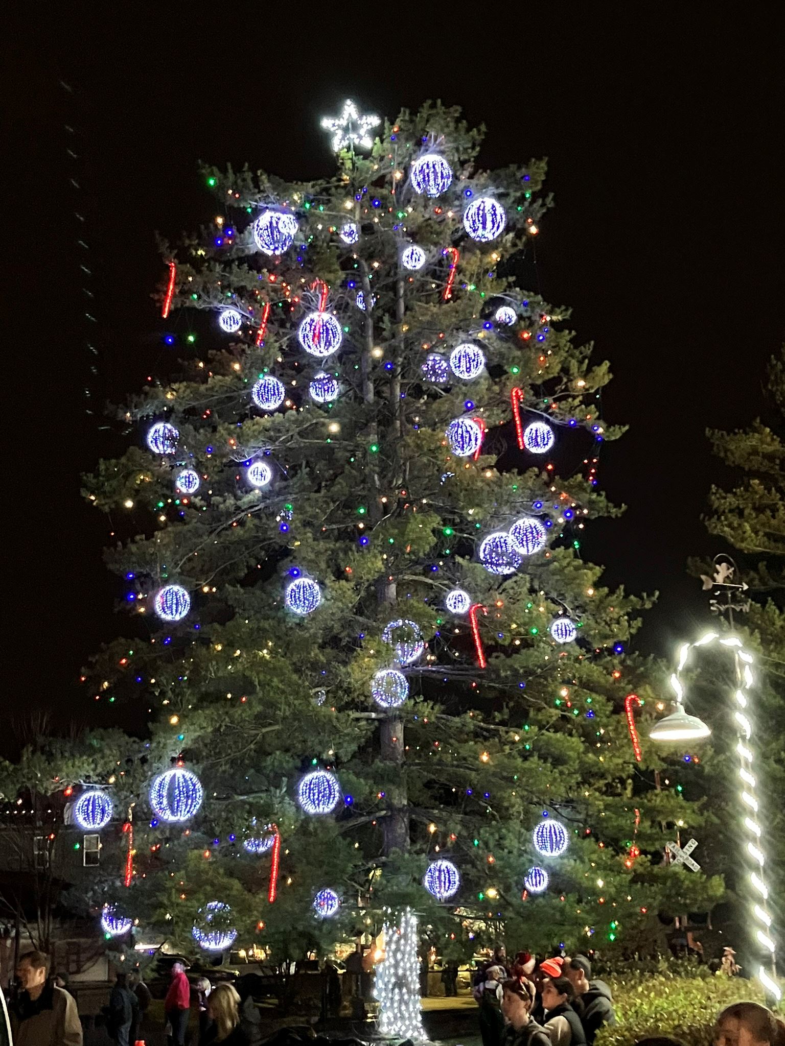 Christmas tree with lights and decorations
