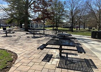 Nisbet Park New Seating